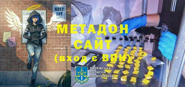 прущие грибы Няндома