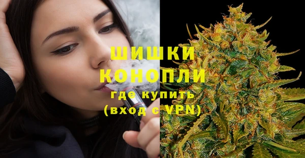 соль ск Гусев