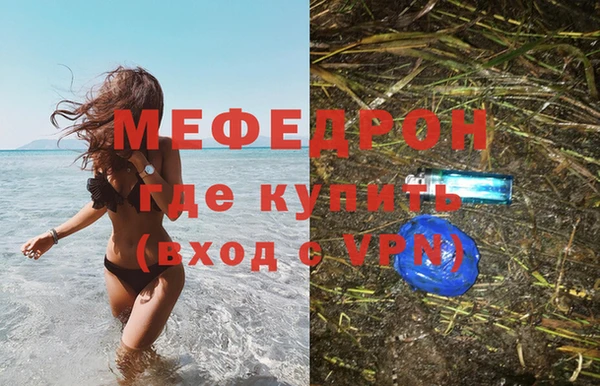индика Осинники
