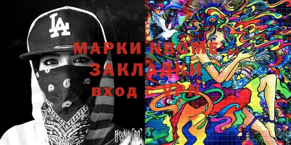 индика Осинники