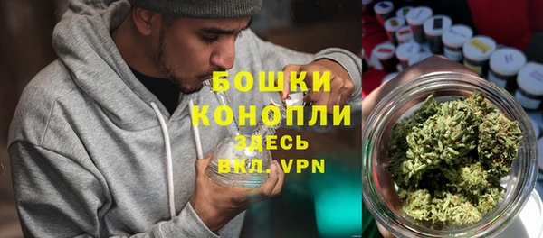 дурь Гусь-Хрустальный