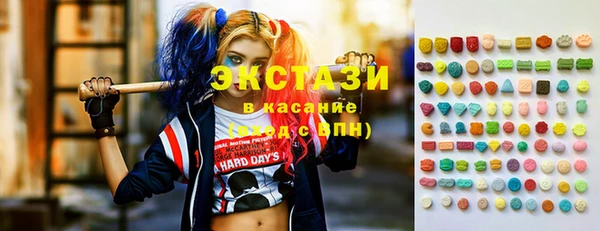 индика Осинники