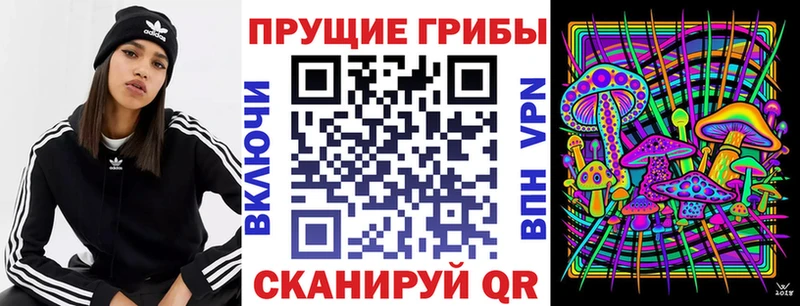 Псилоцибиновые грибы Cubensis  Краснослободск 
